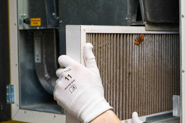 Best Home Air Vent Cleaning  in Newcastle, WY